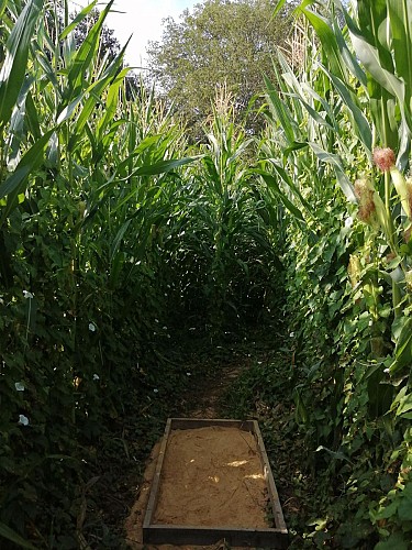 Bassignac corn maze