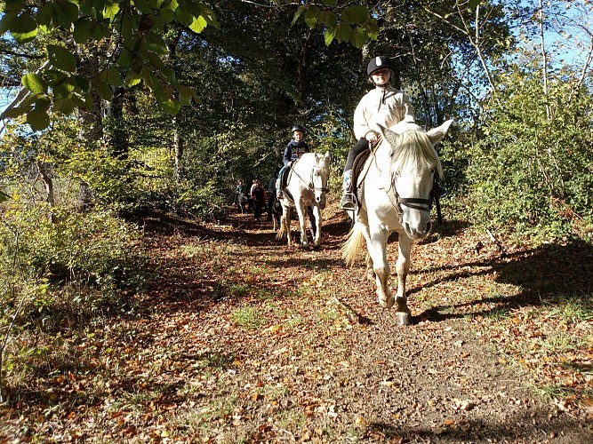 Les Cavaliers de l'étang