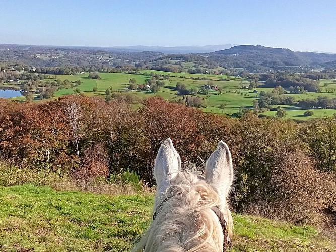 Les Cavaliers de l'étang