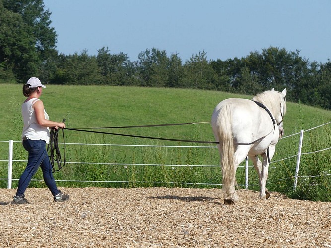 Ferme équestre de Montassou