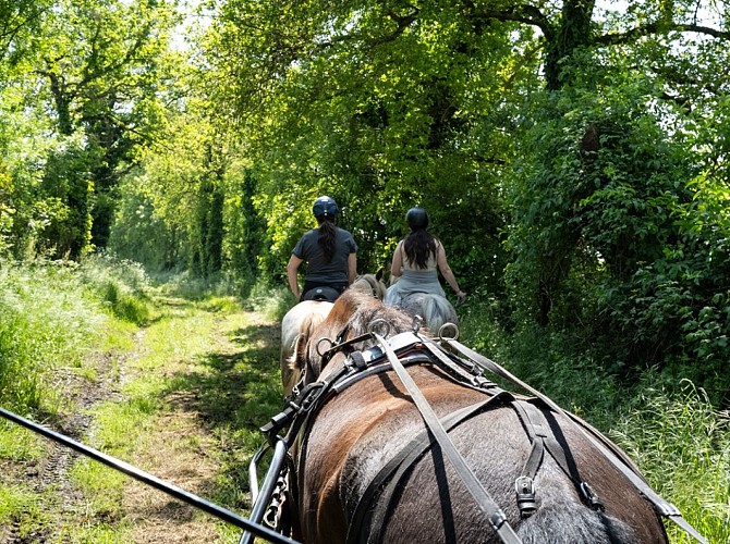 Haras de la Salmonière
