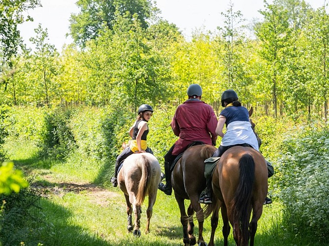 Haras de la Salmonière