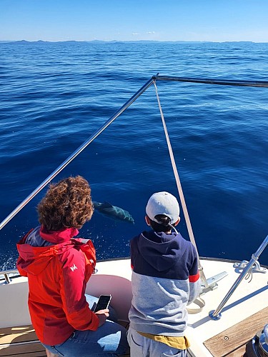 Whale Watching avec speedfishing