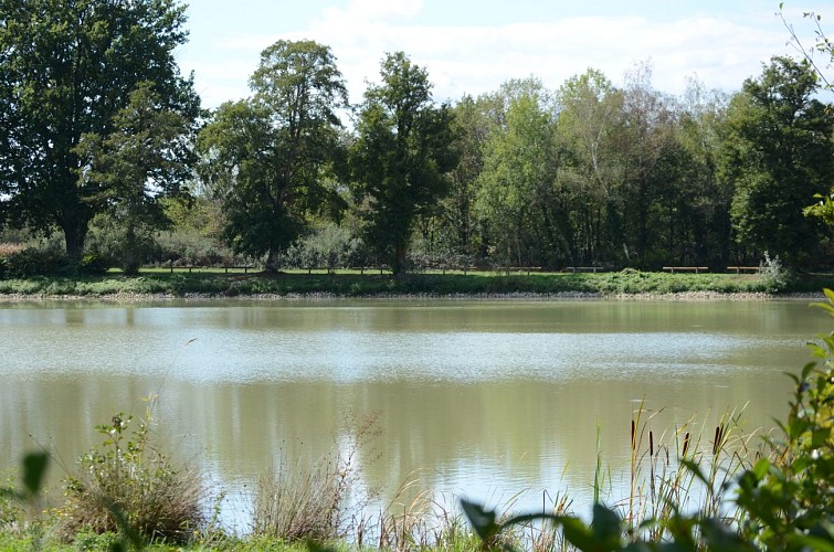 Snack Camping La Nizière