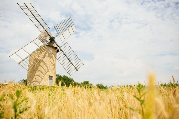 moulin-de-cussol_sud_gironde_agence_les_conteurs_800