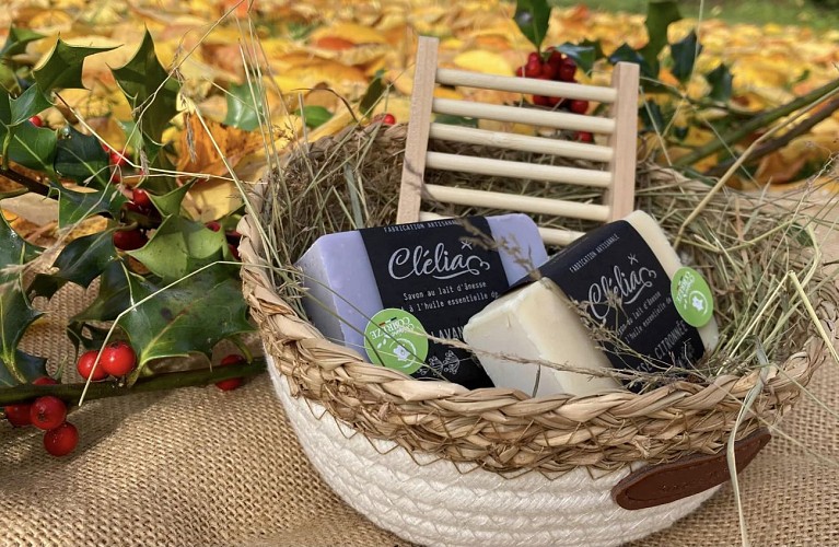 403863083_729137345903848_2798114168558735365_n