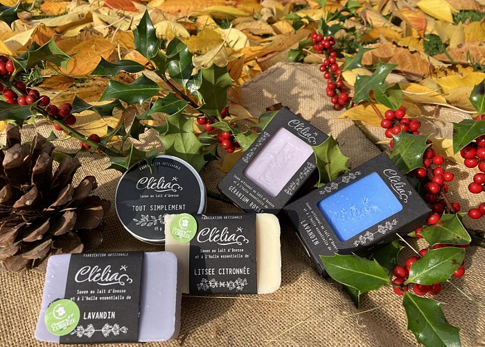 402659216_729138342570415_621594173375984538_n