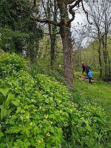 Du sentier vers la piste et le GR62B