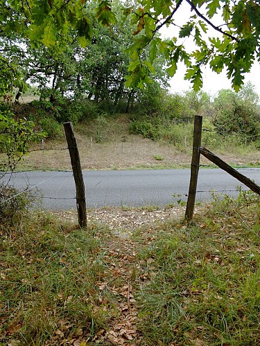 Entrées de l'observatoire