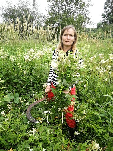 Aux Plantes Libérées