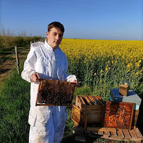 Miellerie de l'Agapanthe