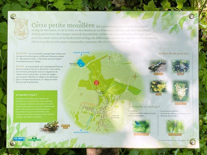 La "Petite Mouillère"