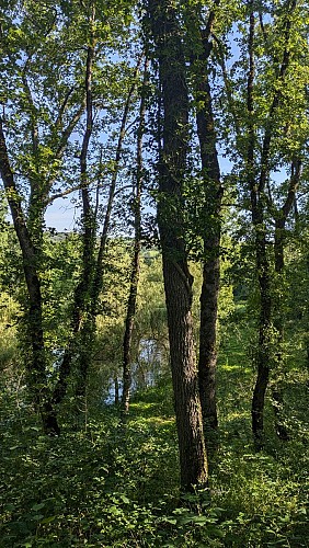 Vue depuis l'observatoire