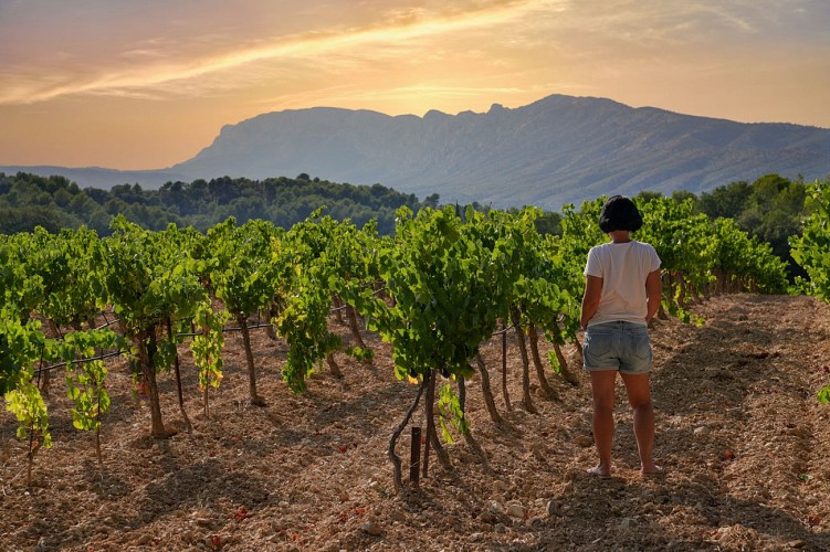 Montagne de la Sainte Victoire