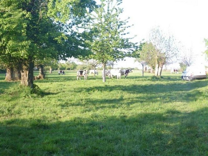 La Petite Cauvinière