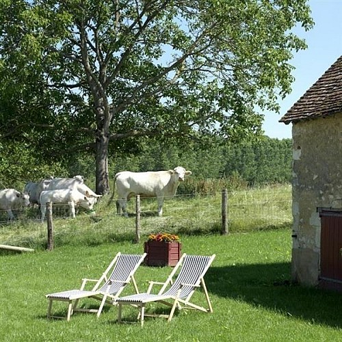 La Petite Morinière