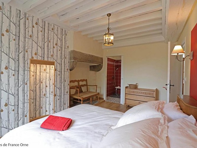 Gîte Le Grand Gite de La Boderie