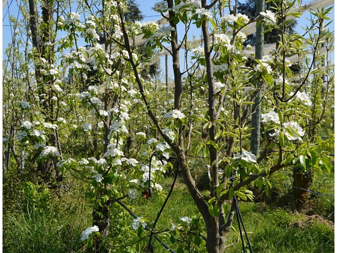 Format Sirtaqui 800*600pxl - 3