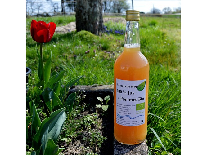 Format Sirtaqui 800*600pxl - 3