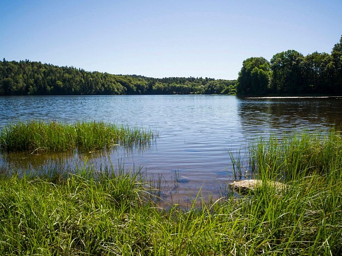 Lac naturel de la Crégut (site de pêche)