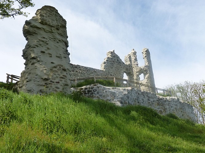 Ruines du Château de Thynières