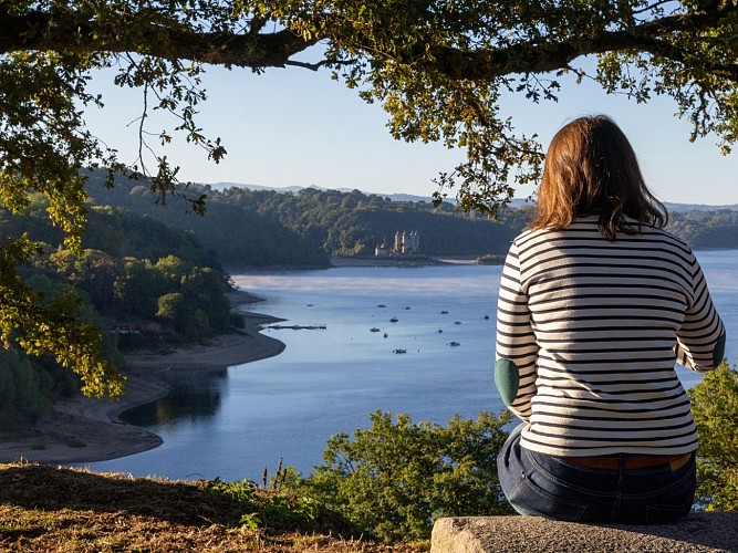Ruines du Château de Thynières