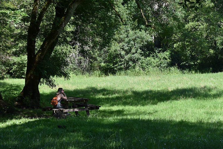 Le_Moron_©Bourg_Cubzaguais_Tourisme_(3)(1)