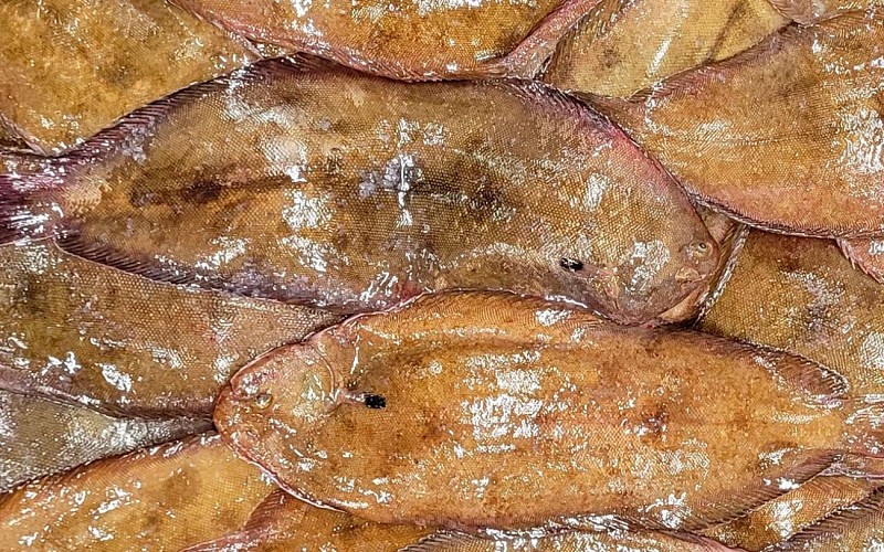 Visite guidée de la criée