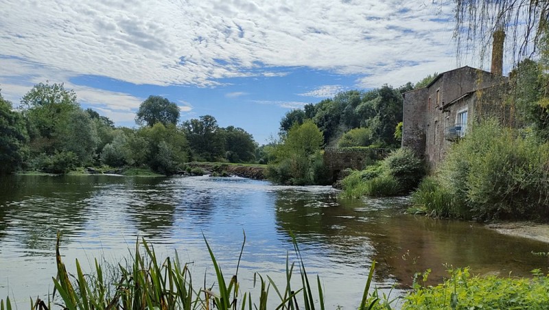 LE CHANT DE LA SEVRE