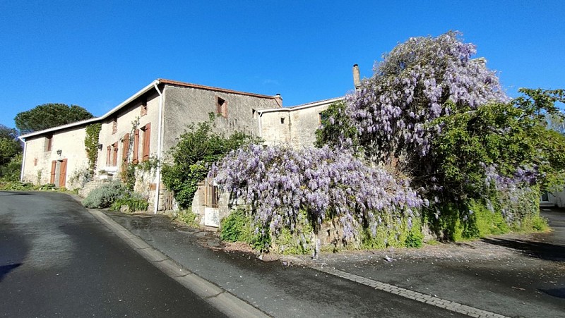 LE CHANT DE LA SEVRE