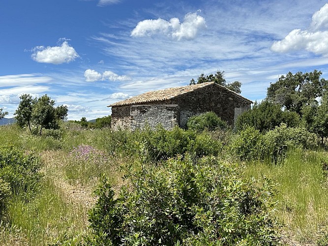 image du object