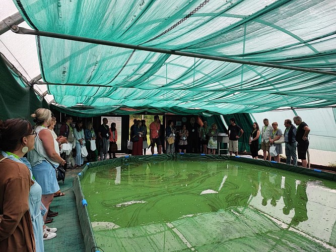 Spiruline Vallée de la Dronne