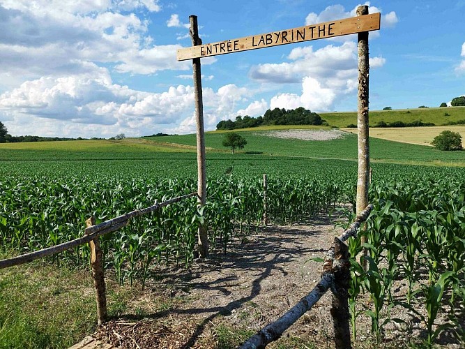 Périgord Inattendu - Labyrinthe de mais à Vendoire 1 2