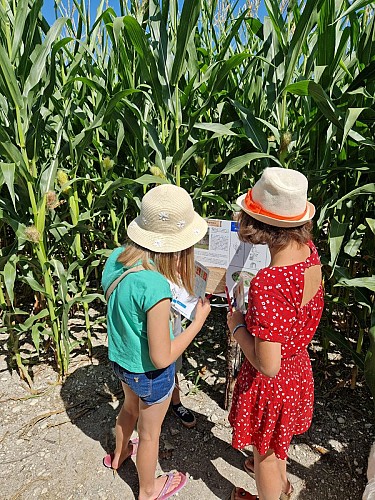 2025 Labyrinthe Végétal VENDOIRE (6)