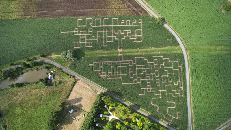 2025 Labyrinthe Végétal VENDOIRE (8)
