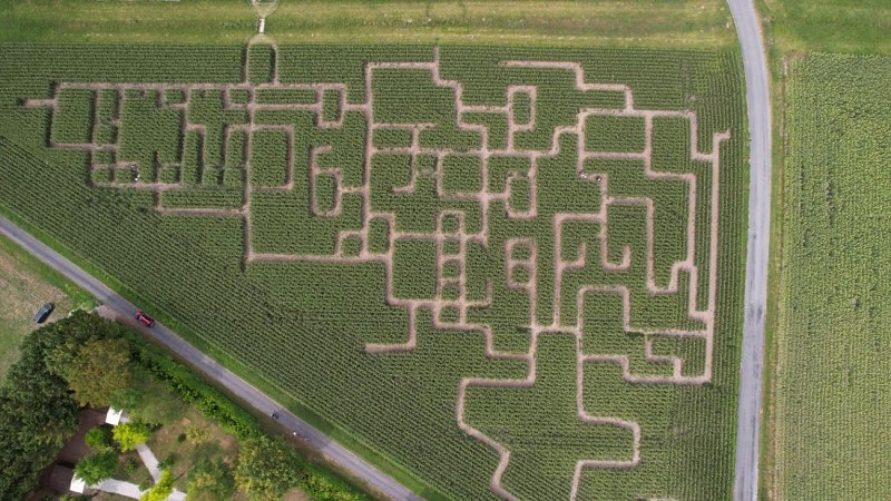 Périgord Inattendu - Labyrinthe de mais à Vendoire