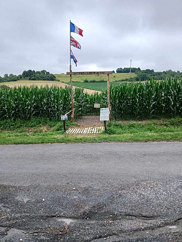 Périgord Inattendu - Labyrinthe de mais à Vendoire