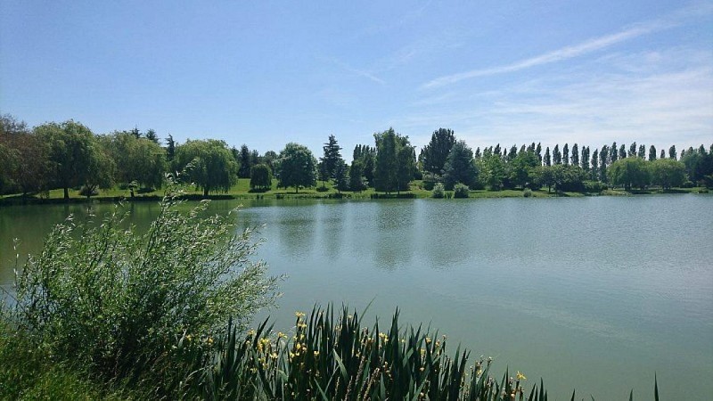 2024-11-22 - faune, les villages vovéens, paysage, voves - 1184 x 666 -_