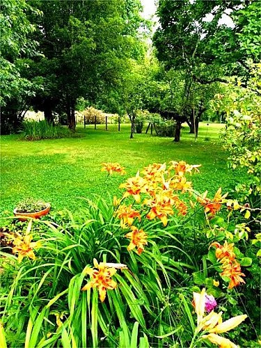 Gîte Villa Lortin - Extérieurs