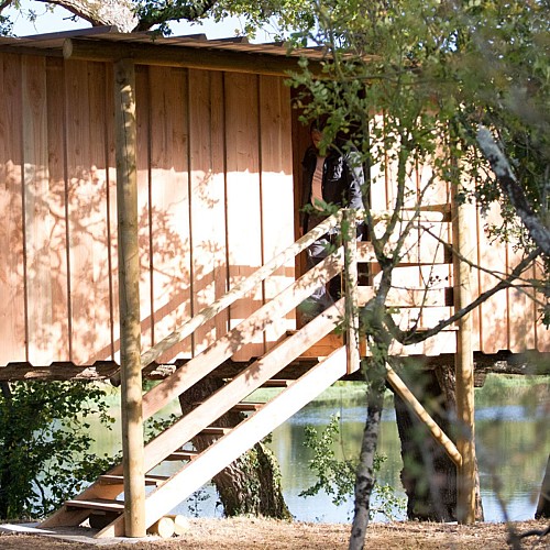Observatoire Oiseaux Seigy