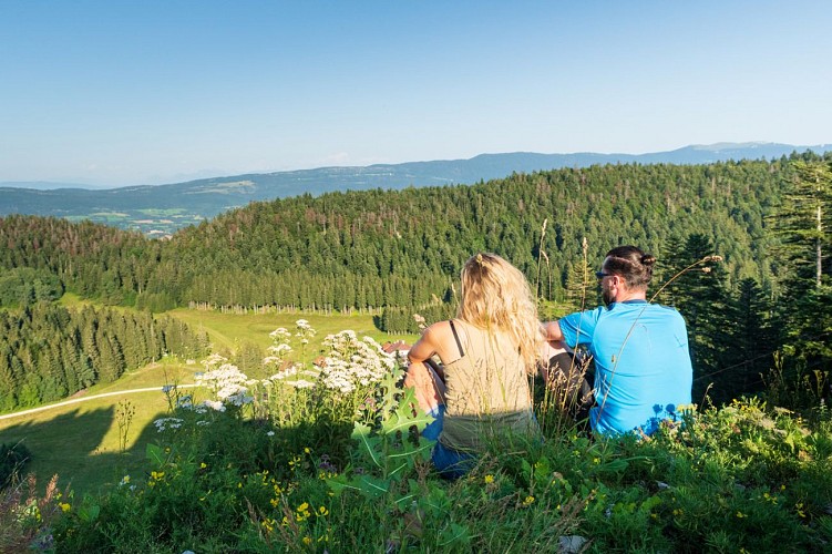 Ville de Plateau d'Hauteville