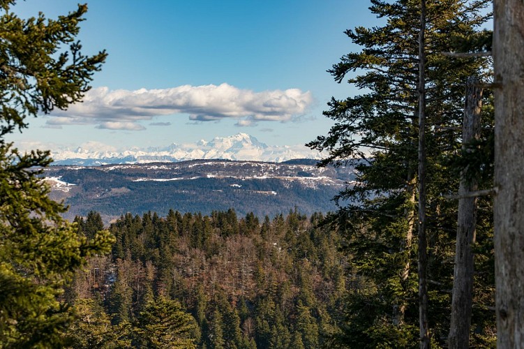 Ville de Plateau d'Hauteville