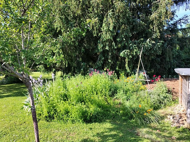 71b601e4e1a6ca1c5a6f2f847c29e2ea9decd5f0