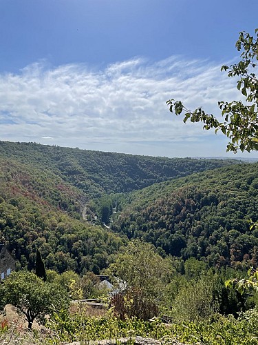 Vue depuis le village de Najac