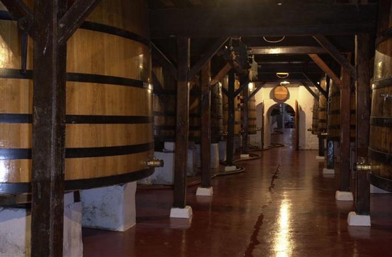 château La Tour de By 3