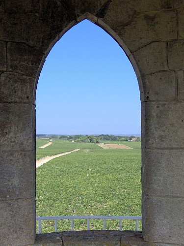 château La Tour de By 7