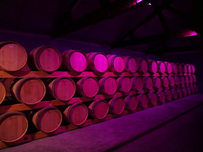 cave la rose pauillac 2