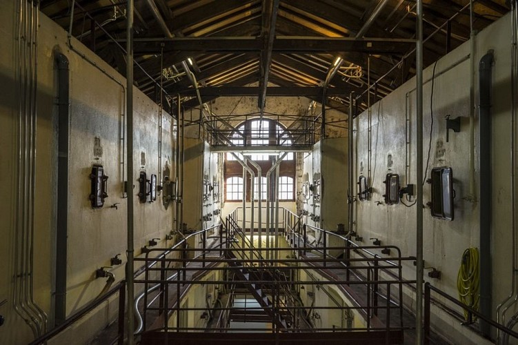 cave la rose pauillac 5