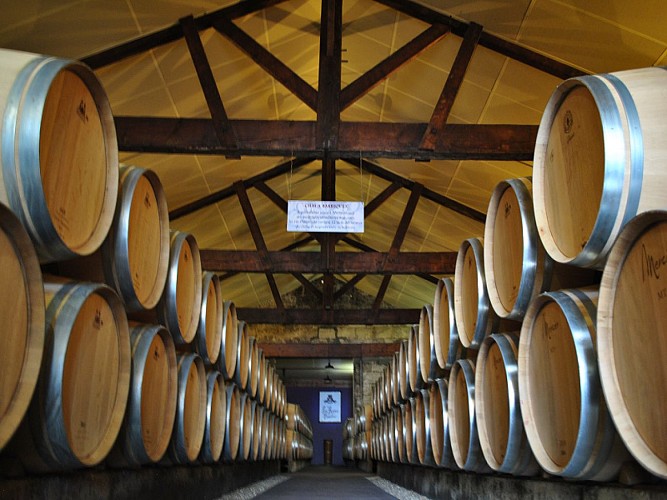 cave la rose pauillac 6