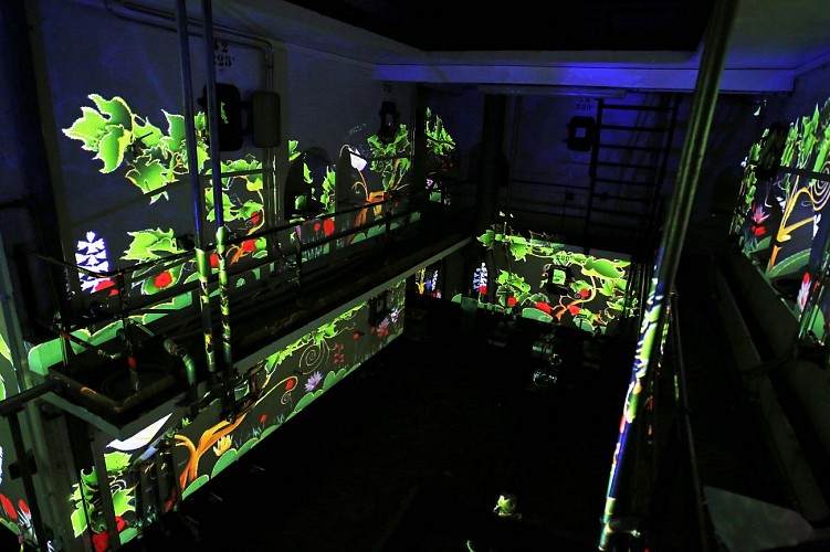 cave la rose pauillac 8